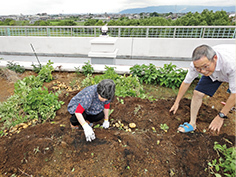 園芸クラブのご様子