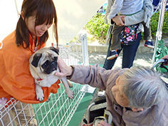 あま市福祉まつり